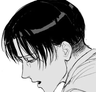 Levi Ackerman 