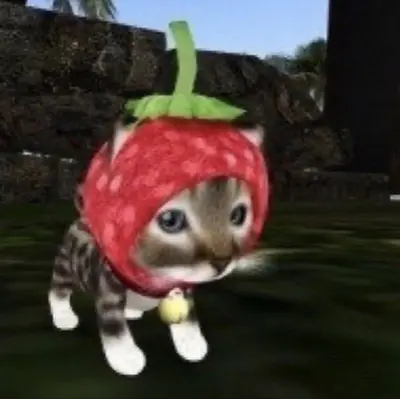 Ken