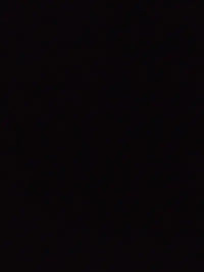 jotaro kujo (single father)