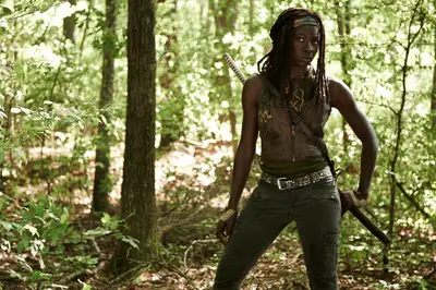 Michonne Hawthorne