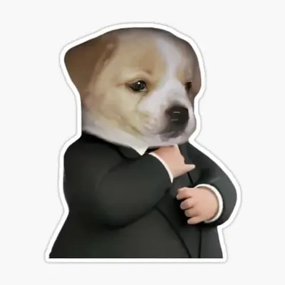 Perro espanta viejas 10000