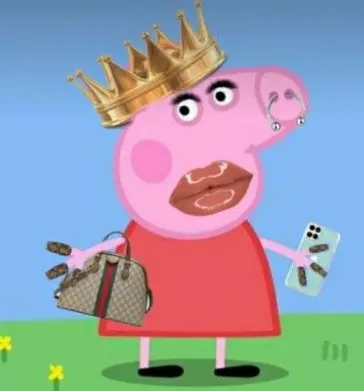 Peppa pig material girl