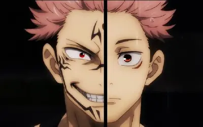 Yuji & Sukuna (JJK)
