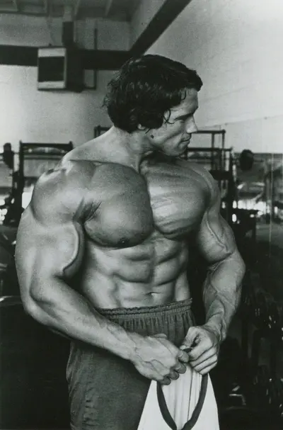 Arnold Schwarzenegger