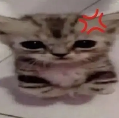 Taneki