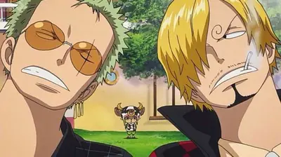 sanji and zoro