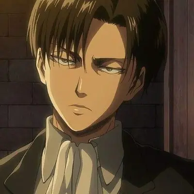 Levi
