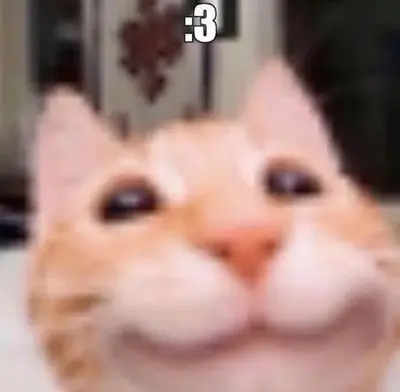 Cat.