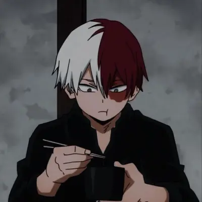 Shoto Todoroki 