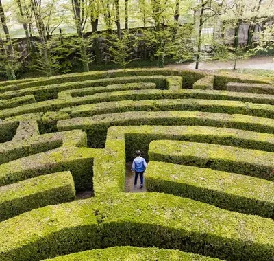 Dare Maze