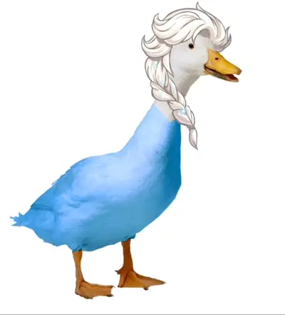 El sapato