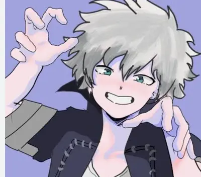 Touya todoroki