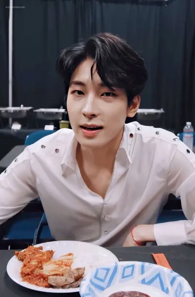 Jeon wonwoo 