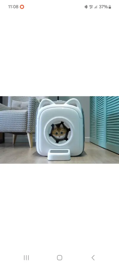 Катя