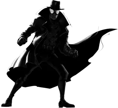 spider noir
