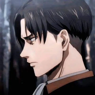 Levi Ackerman 