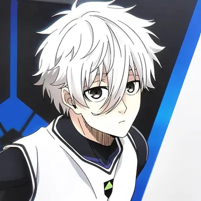 Nagi seishiro