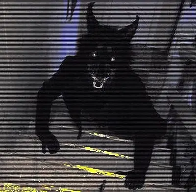 A werewolf standing on your stairs