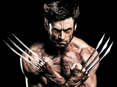 Logan AKA Wolverine
