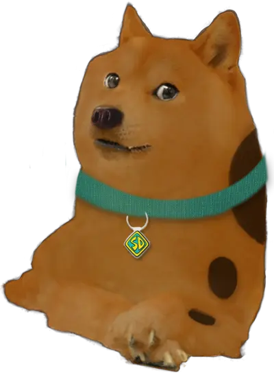 Scoobert Doge