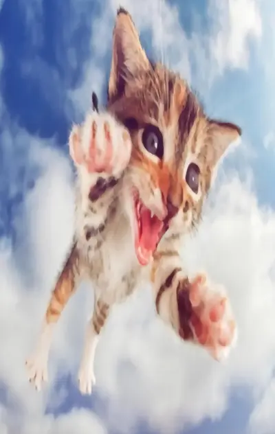lalalalalalalalalalalalalalalalalalalal