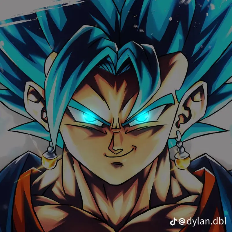 Vegetto 