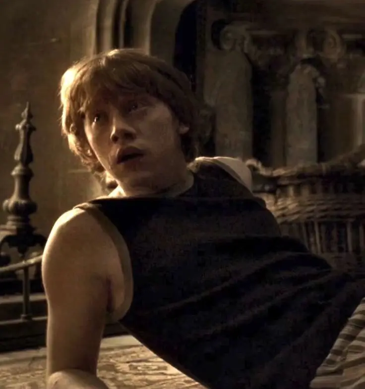 Ron Weasley 