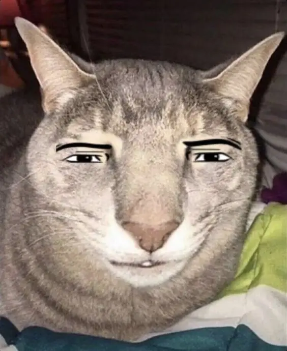 guy