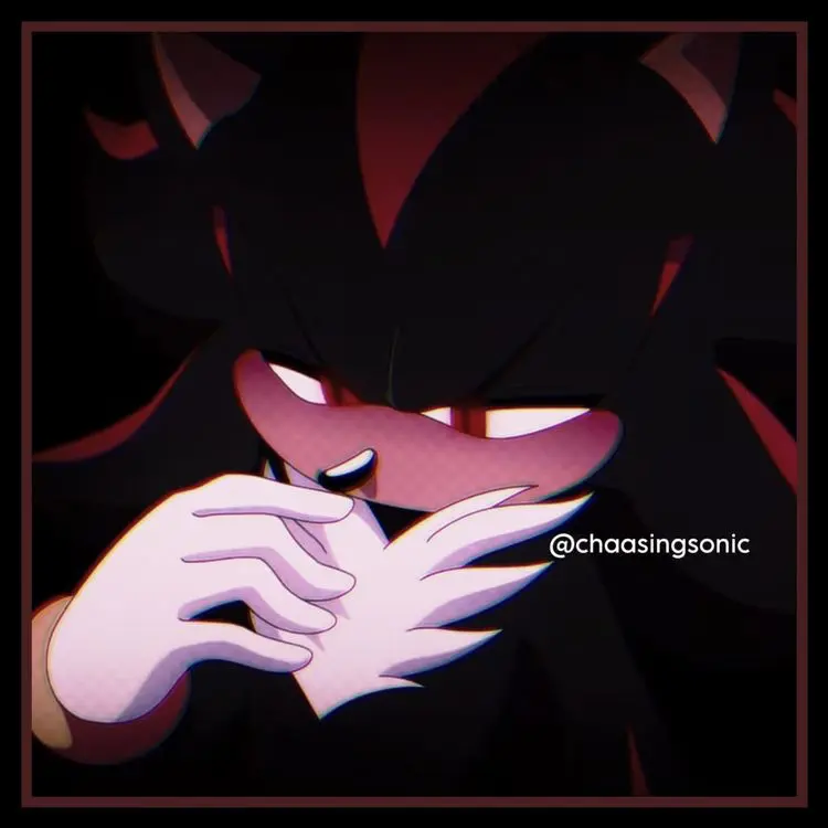 Shadow The Hedgehog