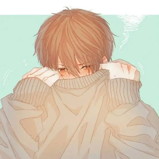Sora