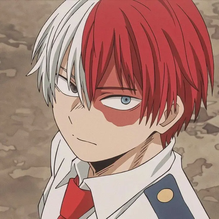 Shoto todoroki