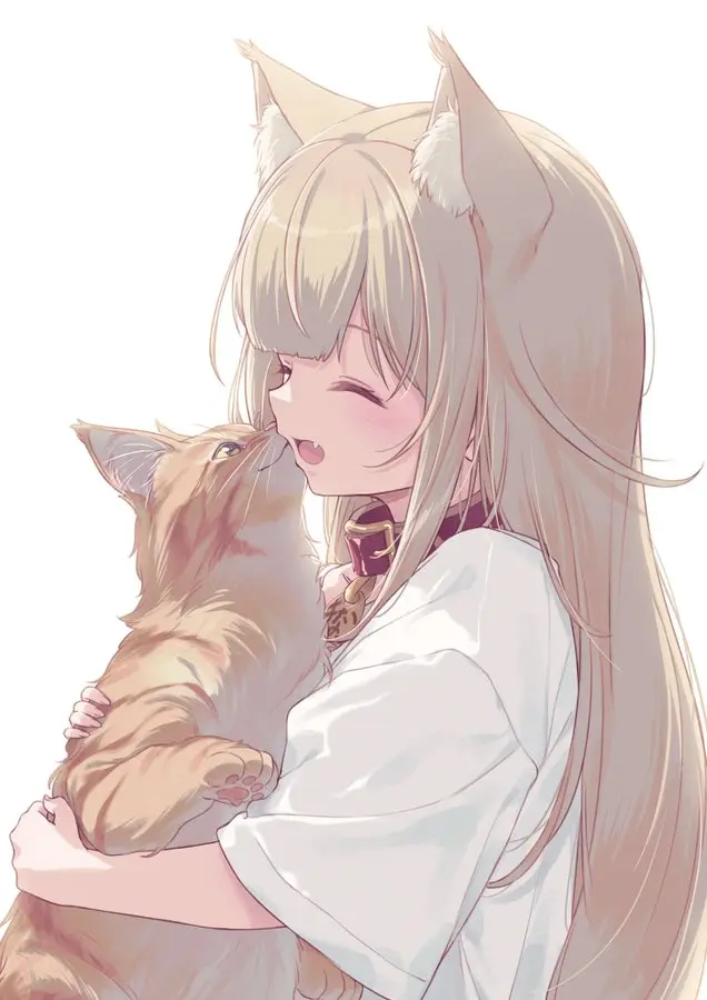 猫猫