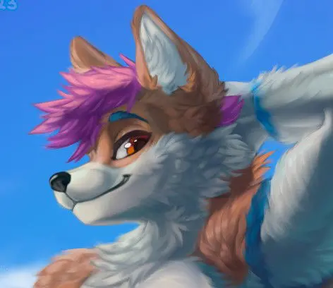 Spen, the gentle anthro husky