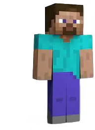 steve