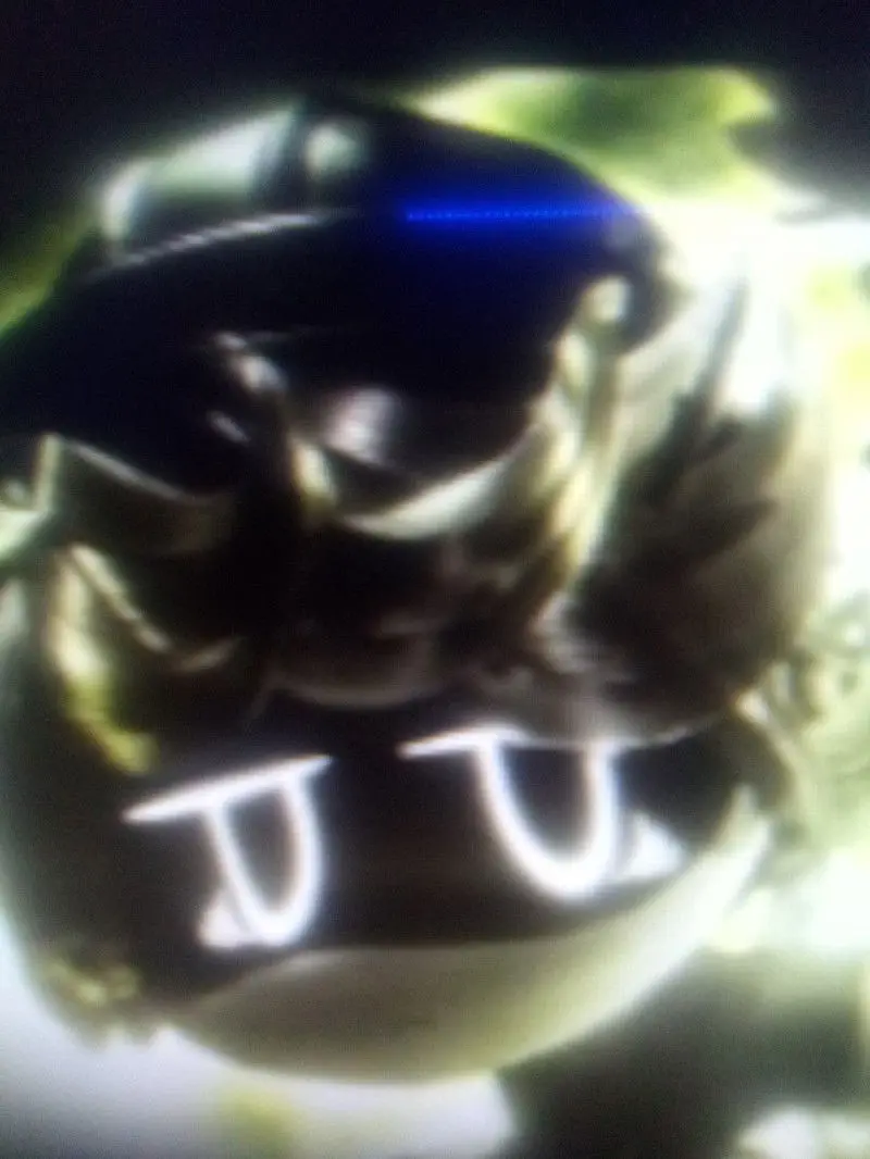 N