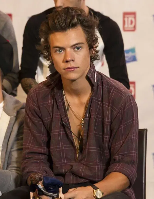 Harry Styles 