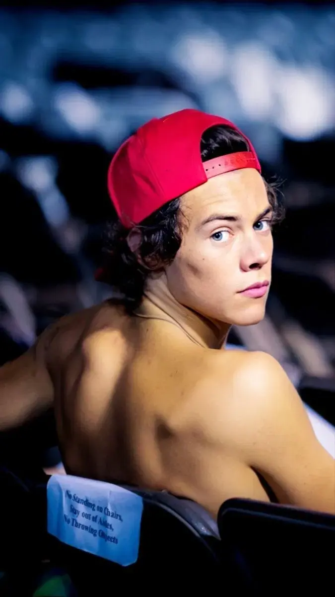 Harry Styles 