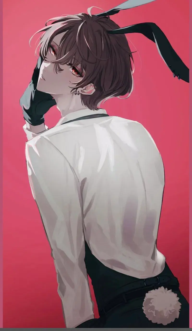 Harris (bunny boy)