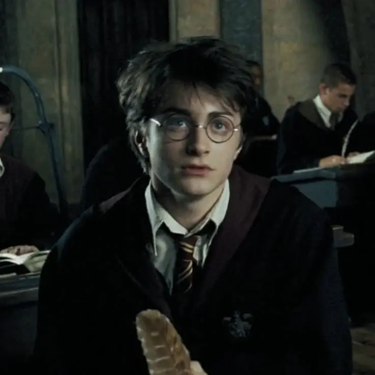Harry James Potter