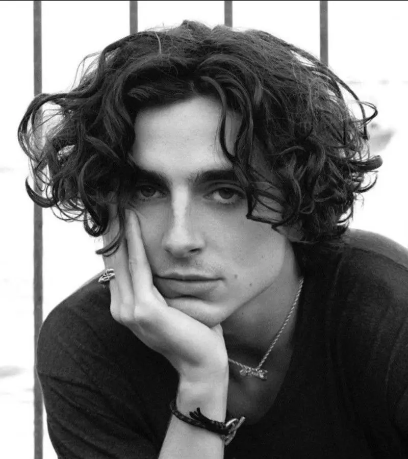 Timothée Chalamet 