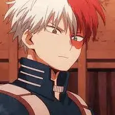 Shoto Todoroki 