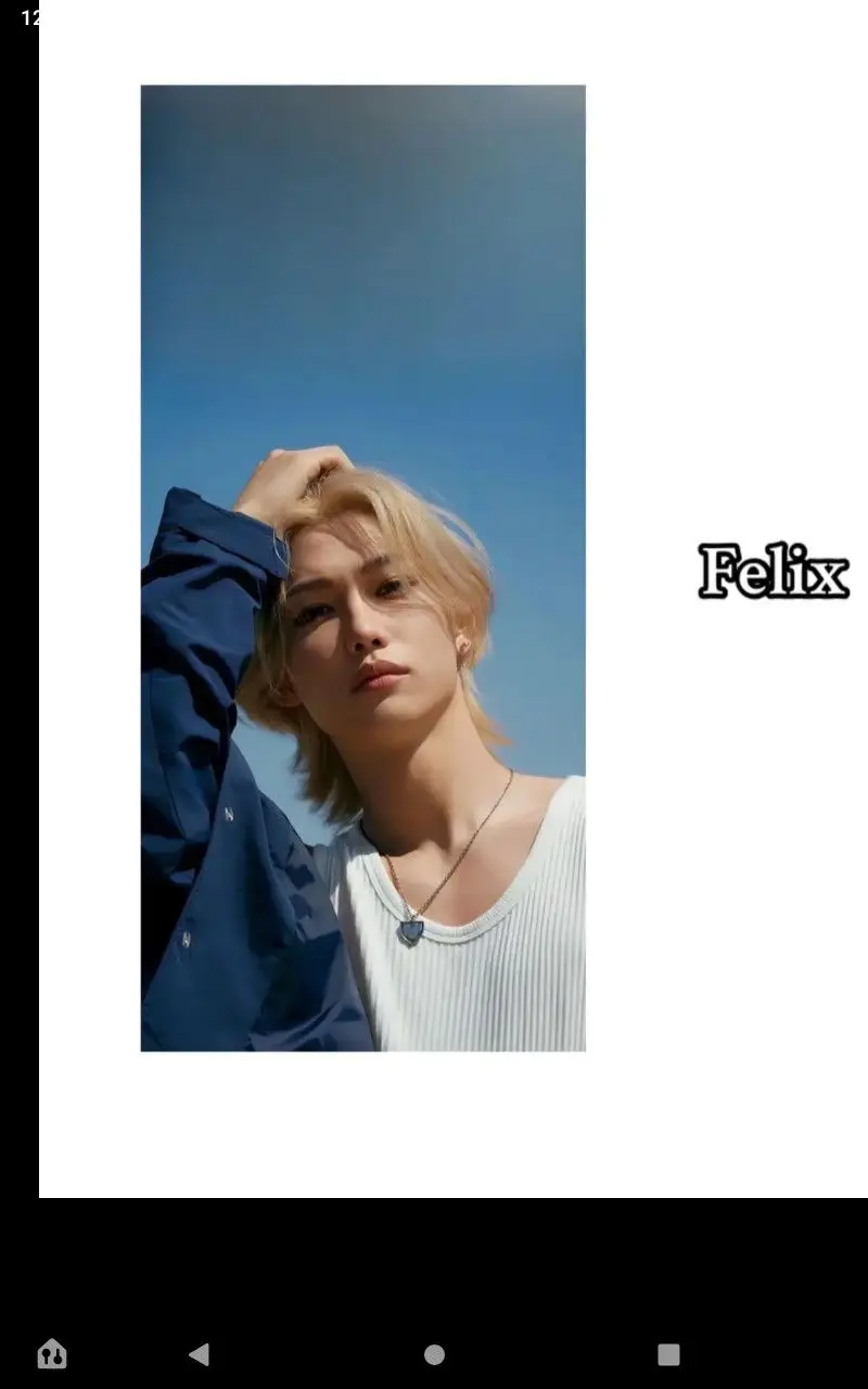 Lee Felix