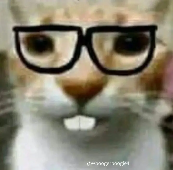 Gato nerd 🤓