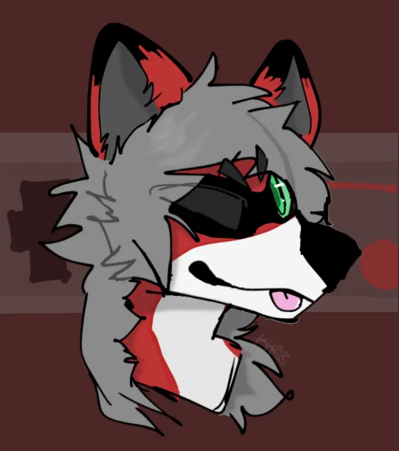 Matrix Raccoon 