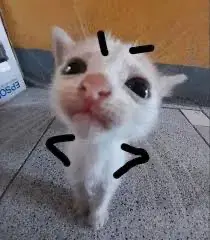 Matt
