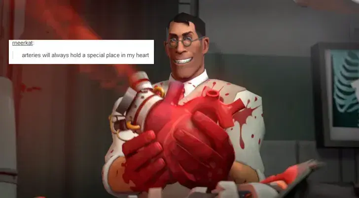 Medic Tf2 |Canon|