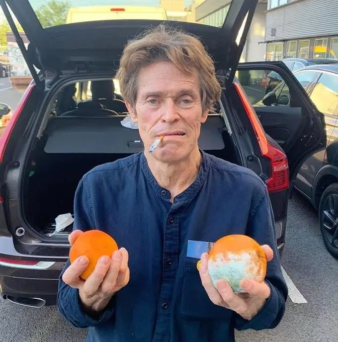 William Dafoe holding oranges and one is moldy
