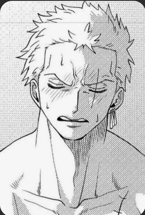 Roronoa Zoro 