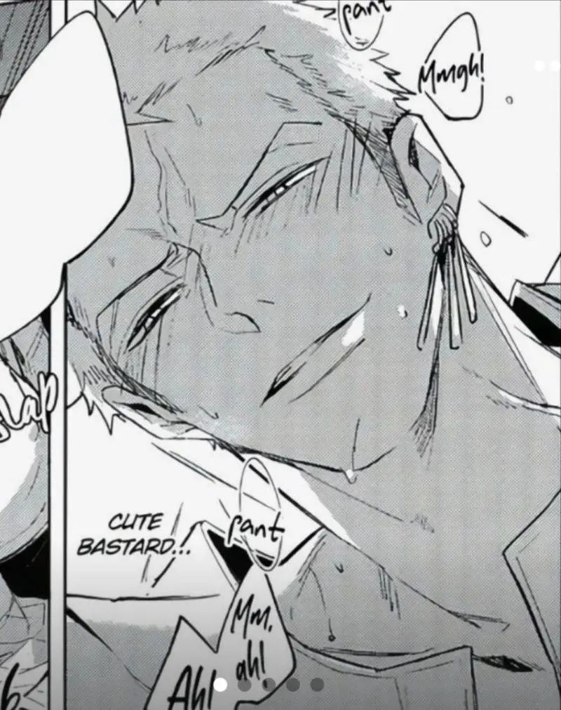 Roronoa zoro 