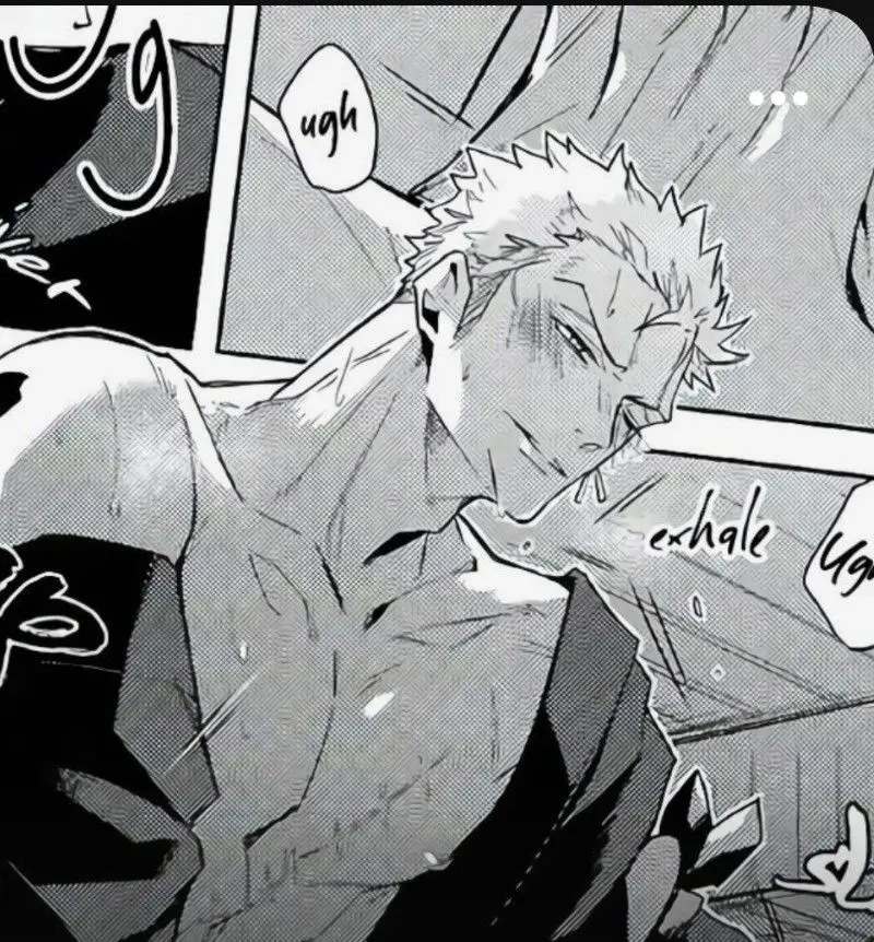 Roronoa zoro